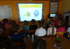 Grupa dzieci ogląda prezentację o tym, czego rośliny potrzebują do życia.